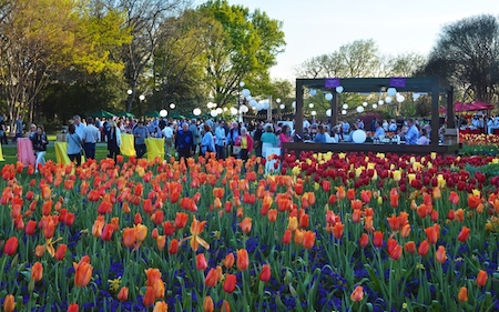 Dallas Arboretum’s Food & Wine Festival