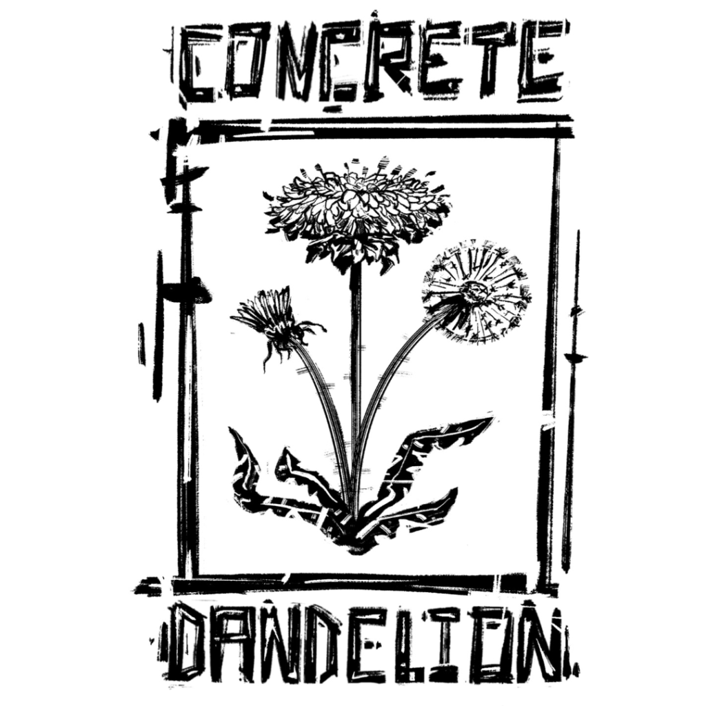 Concrete Dandelion – Alec DeJesus Solo Exhibition